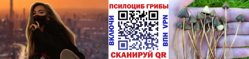 сколько стоит  Фатеж  МЕГА зеркало  дарк нет какой сайт  Галлюциногенные грибы Psilocybine cubensis 